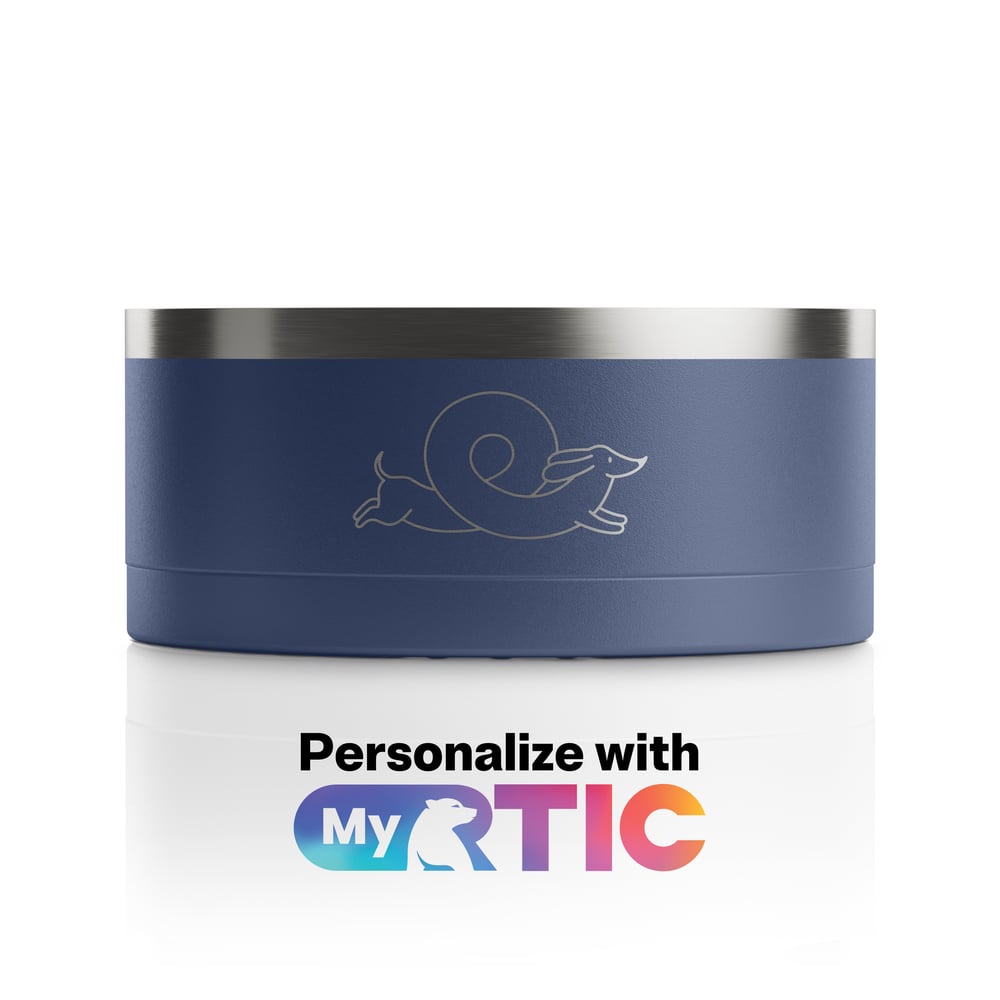 3-In-1 Dog Bowl Navy & Graphite | Rtic Drinkware|Clearance